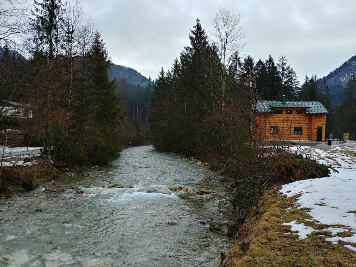 Ferienwohnungen Blockhaus - Zwergenhaeusl Grünau im Almtal Eksteriør billede
